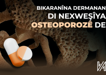 Bikaranîna Dermanan Di Nexweşîya Osteoporozê De