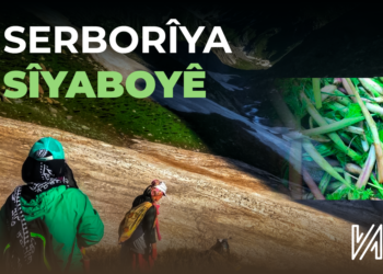 Serborîya Sîyaboyê