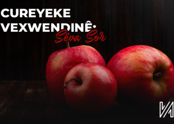 Cureyeke Vexwendinê : Sêva Sor