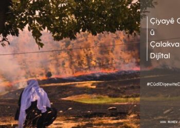 Çîyayê Cûdî û Çalakvanîya Dîjîtal