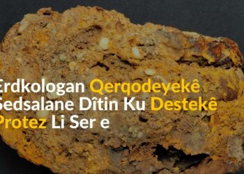 Erdkologan Qerqodeyekê Sedalane Dîtin Ku Destekê Protez Li Ser e