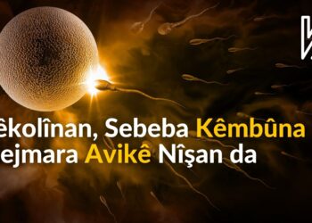 Lêkolînan, Sebeba Kêmbûna Hejmara Avikê Nîşan Da