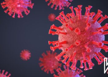 Nexweşiya X’ê Çi ye?