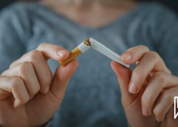 9ê Sibatê Roja Cîhanî ya Devjêberdana Çixareyê