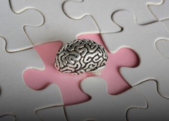 Hinek Agehî li ser Dermankirina Nexweşîya Alzheimera Nû