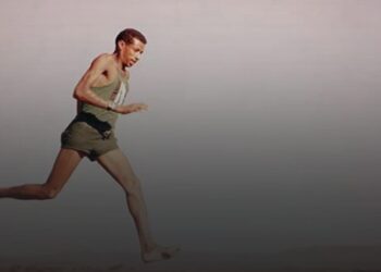 Şampîyonê Pêxwas